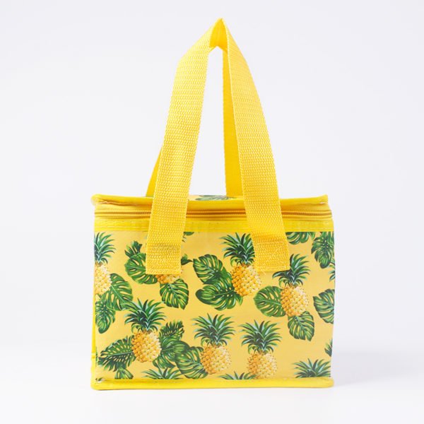 lunch box bag manufacturer ideal china