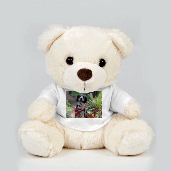 custom teddy bear shirt