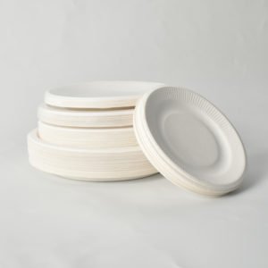 personalized paper plates and napkins