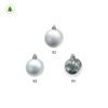 personalized silver christmas ornaments