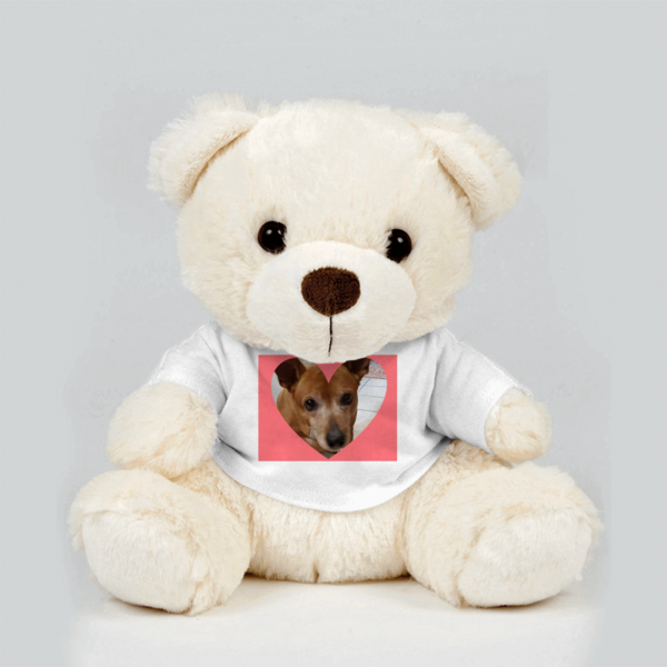 personalized teddy bear shirts