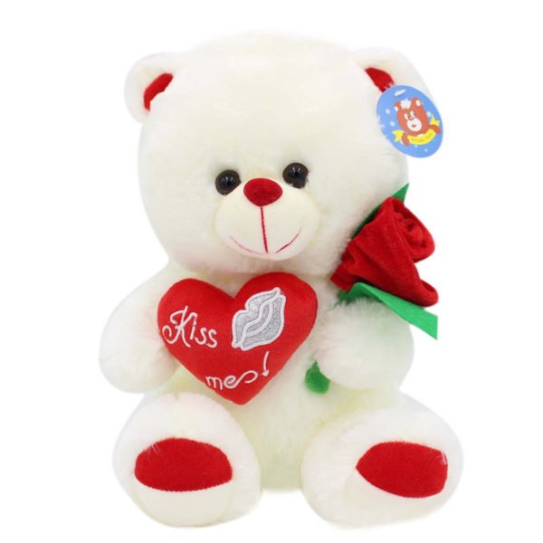 teddy bear with custom message