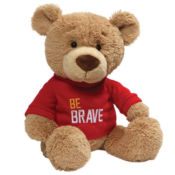 teddy bear with custom message