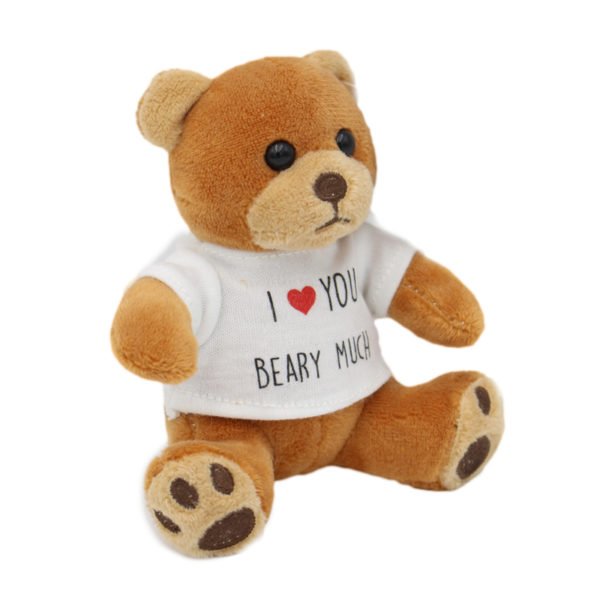 teddy bear with personalized message