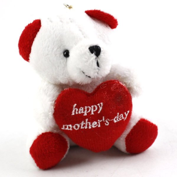 teddy bear with personalized message