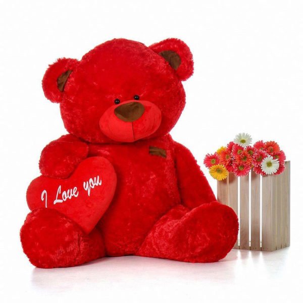 teddy bear with personalized message