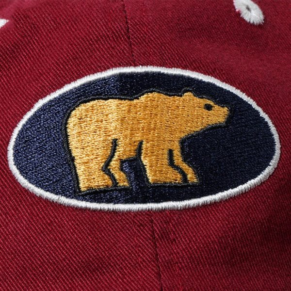 custom embroidered dad hat