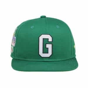 custom snapback hat