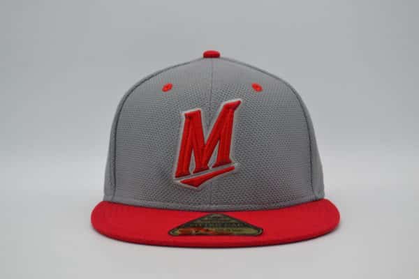 logo snapback hats