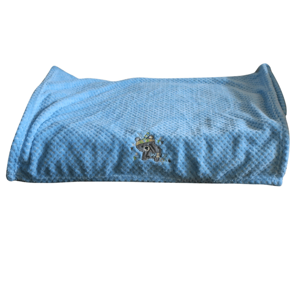 embroidered blankets 1