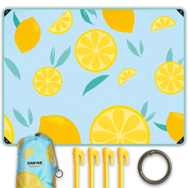 picnic blankets 12