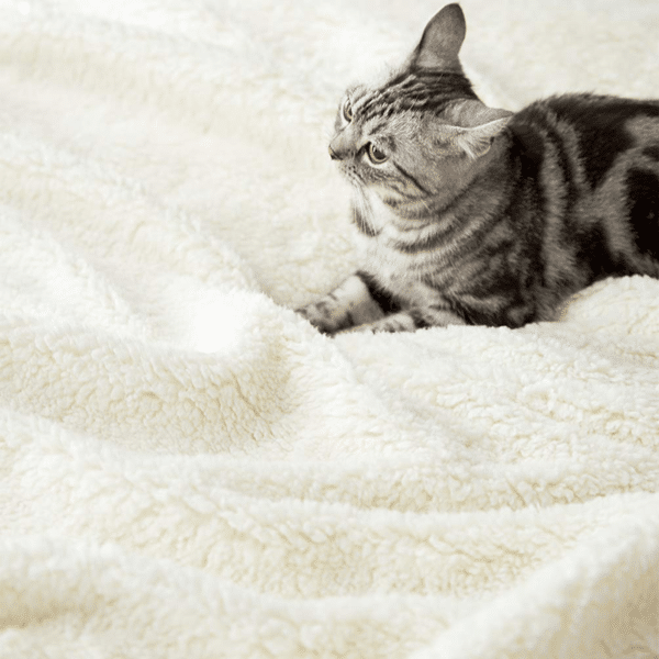 sherpa blankets 13