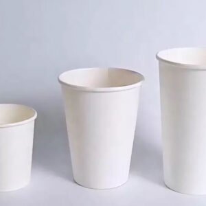 kağıt bardak boyutları