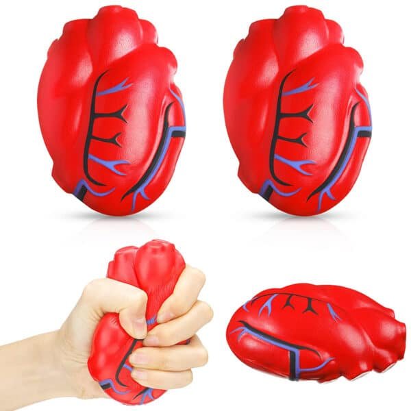 anatomical heart stress ball