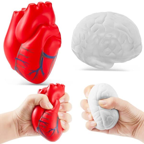 anatomical heart stress ball