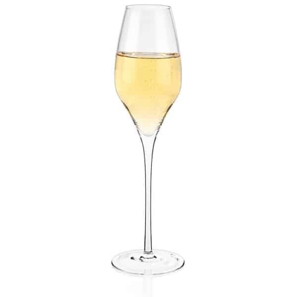 champagne tulip glass