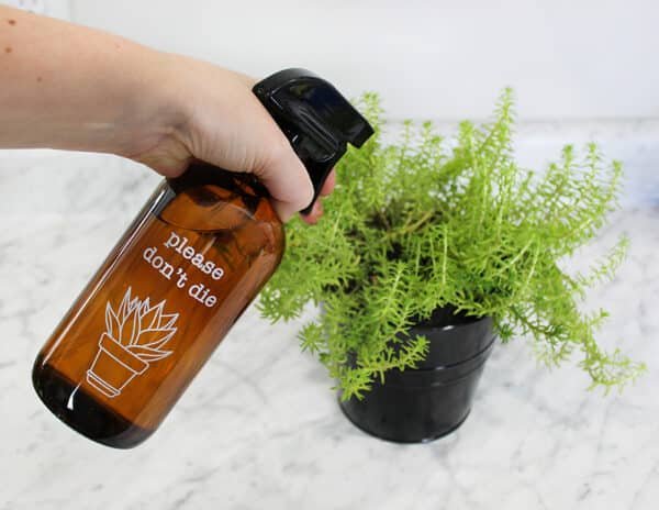 spray water bottle for plants