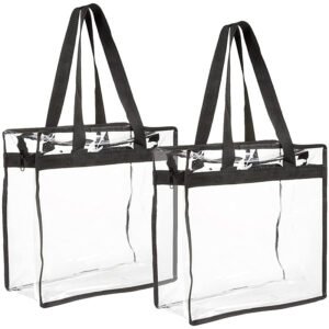 clear tote bag 12x6x12