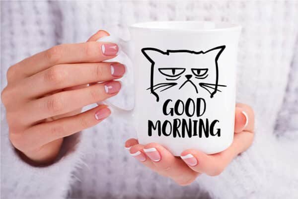 funny cat coffee mugs