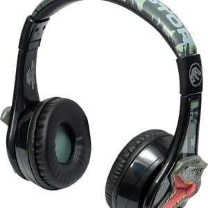 custom earbuds