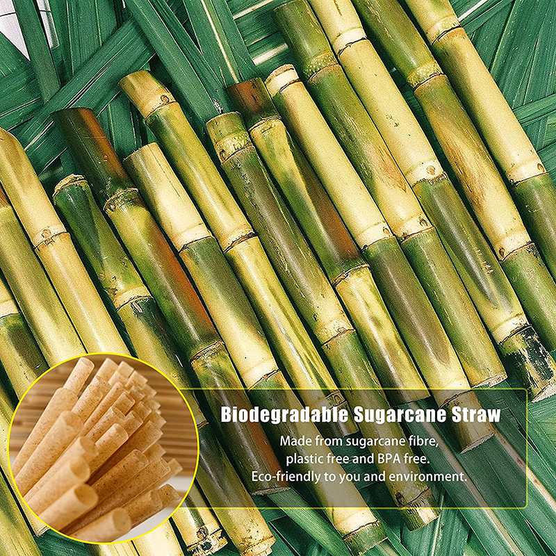 2500 Eco-Friendly Paper Drinking Straws – 20cm Long, Biodegradable (Bulk)