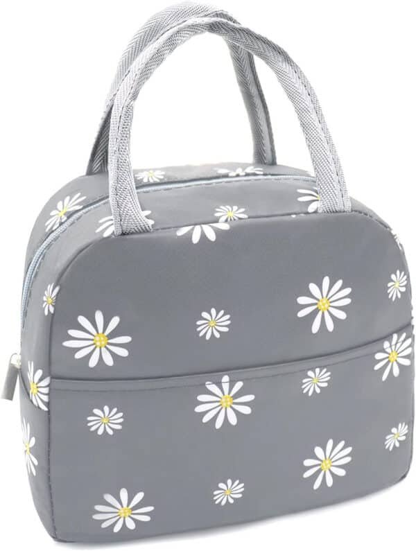 lunch box bag