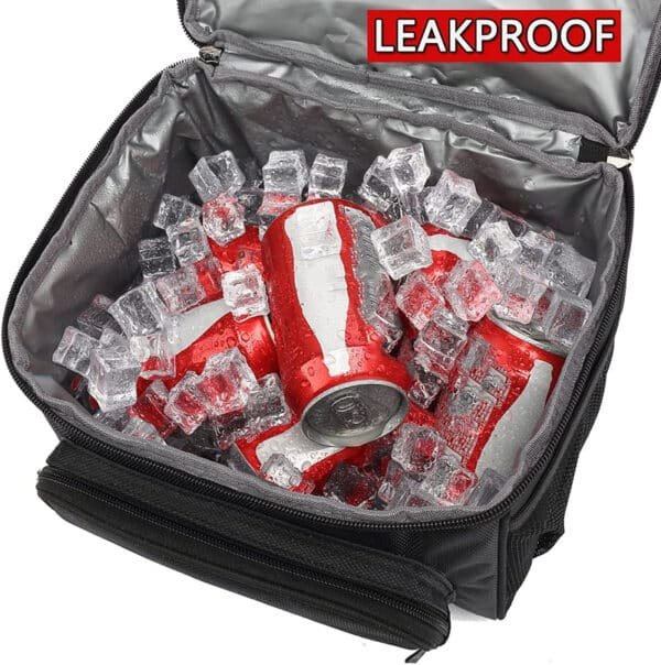 lunch coolers for work