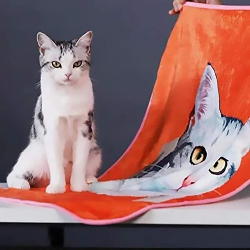 personalized blankets with words