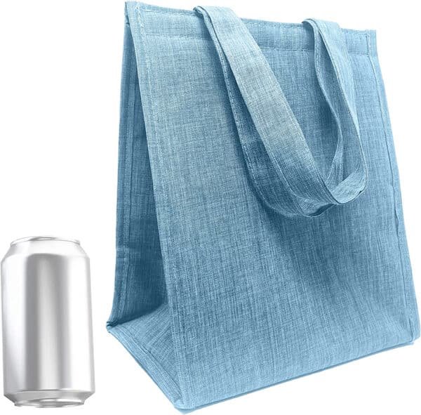 reusable insulated lunch bags