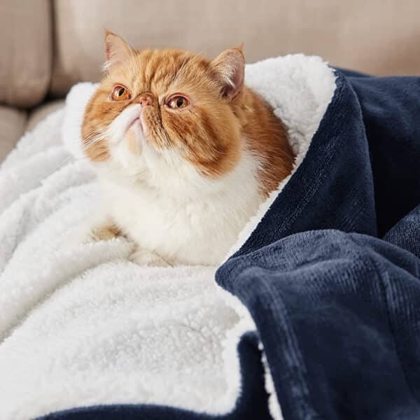 soft blanket for winter