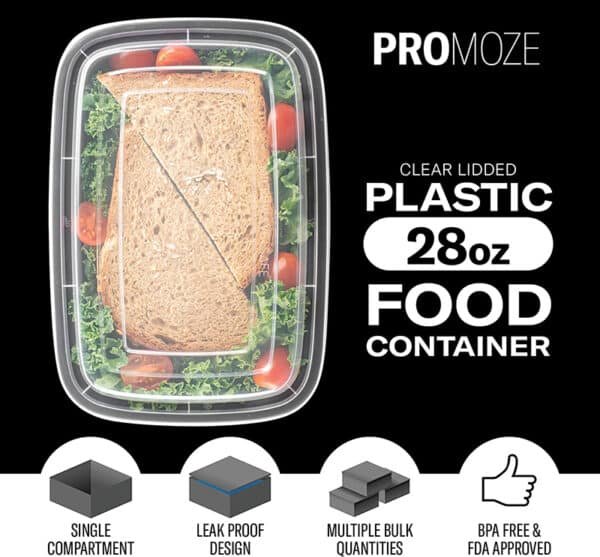 small lunch bag for adults