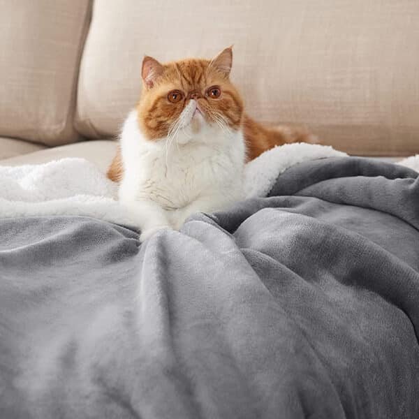 wholesale blankets