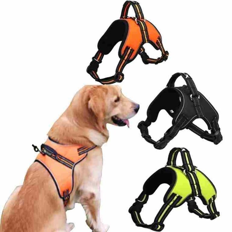 custom cut vest for dogs​