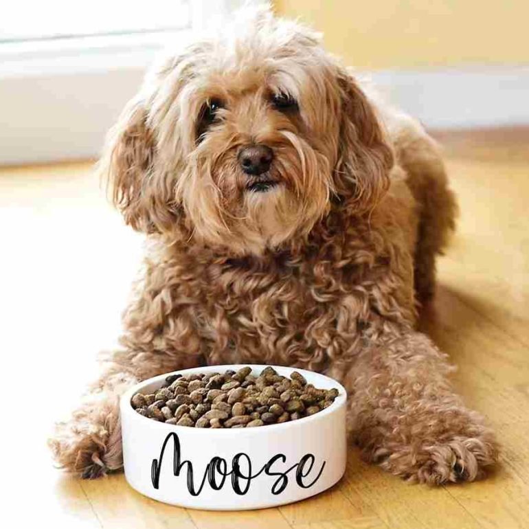 أوعية طعام مخصصة للكلاب مع الاسم