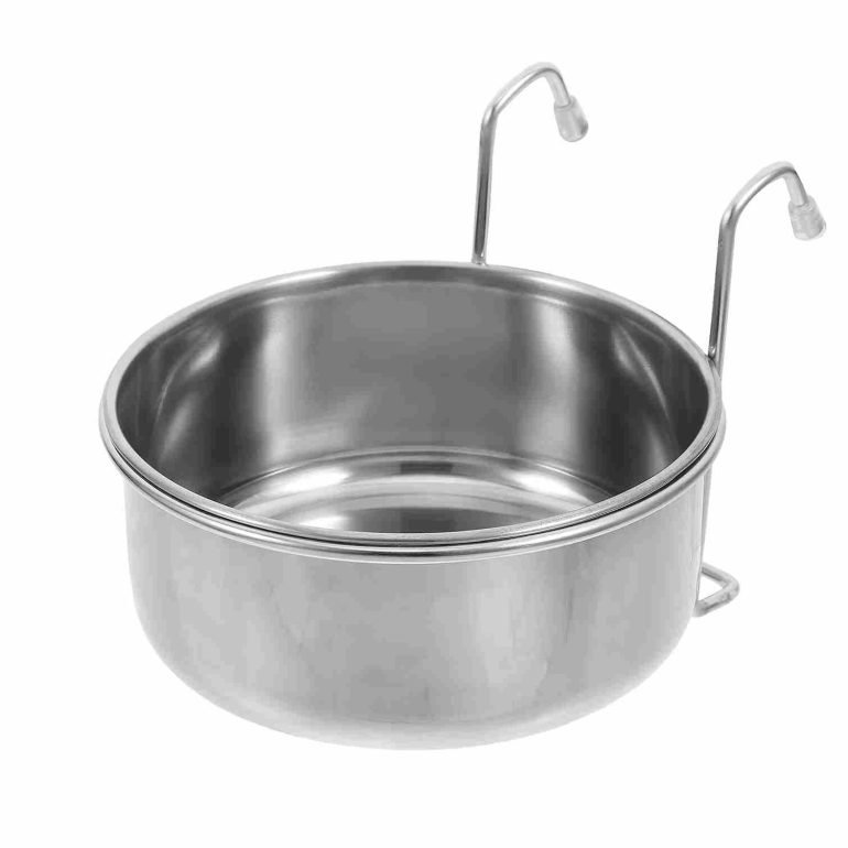 طبق مخصص للكلاب