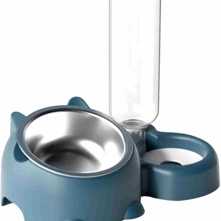 أوعية طعام وماء مخصصة للكلاب