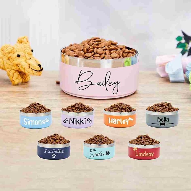 أوعية طعام الكلاب المخصصة