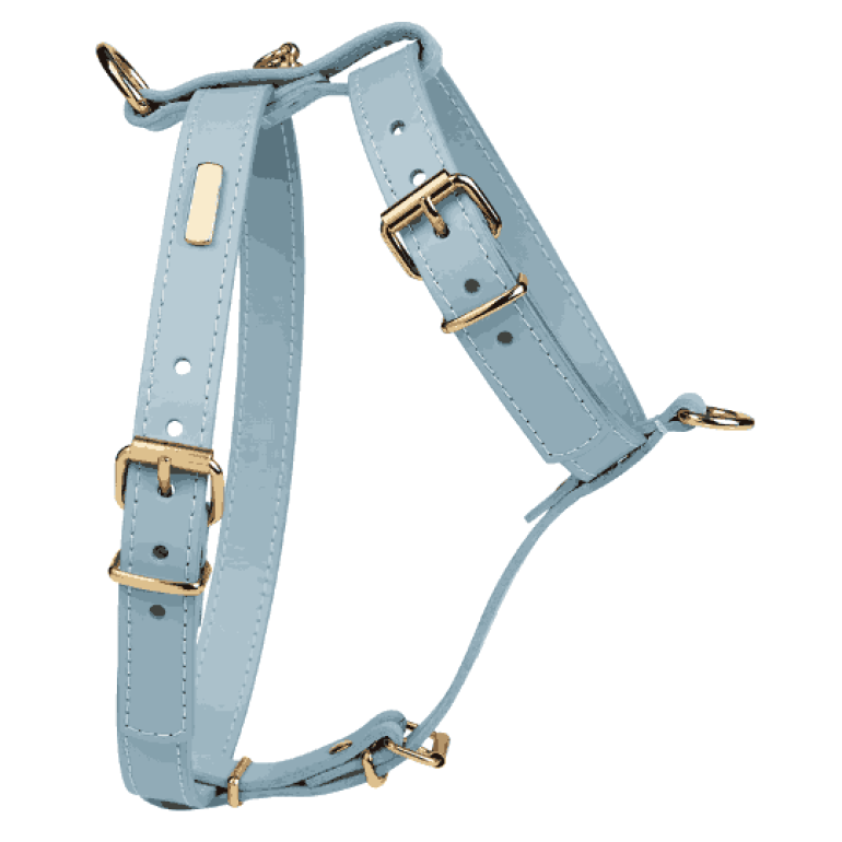 custom dog hunting vest​