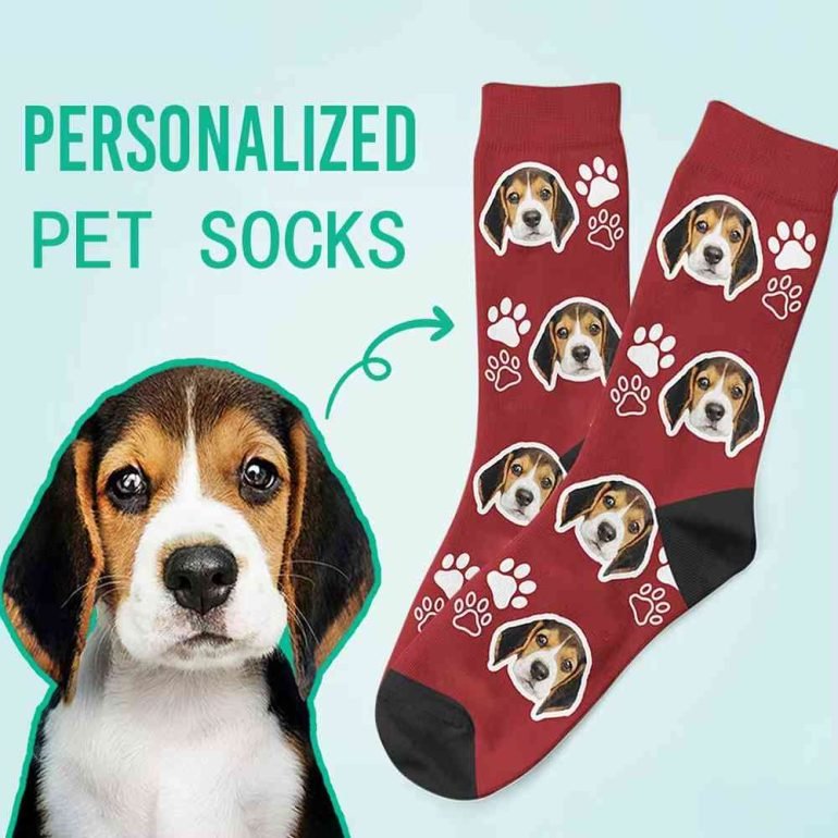 custom dog socks