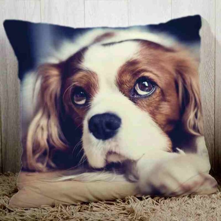 custom dog throw pillows