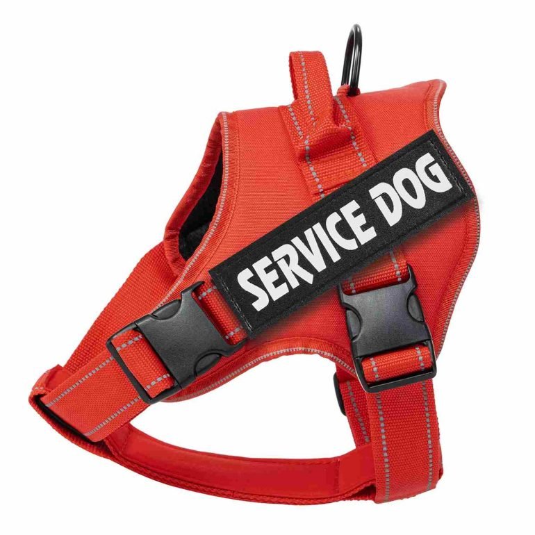 custom service dog vest​
