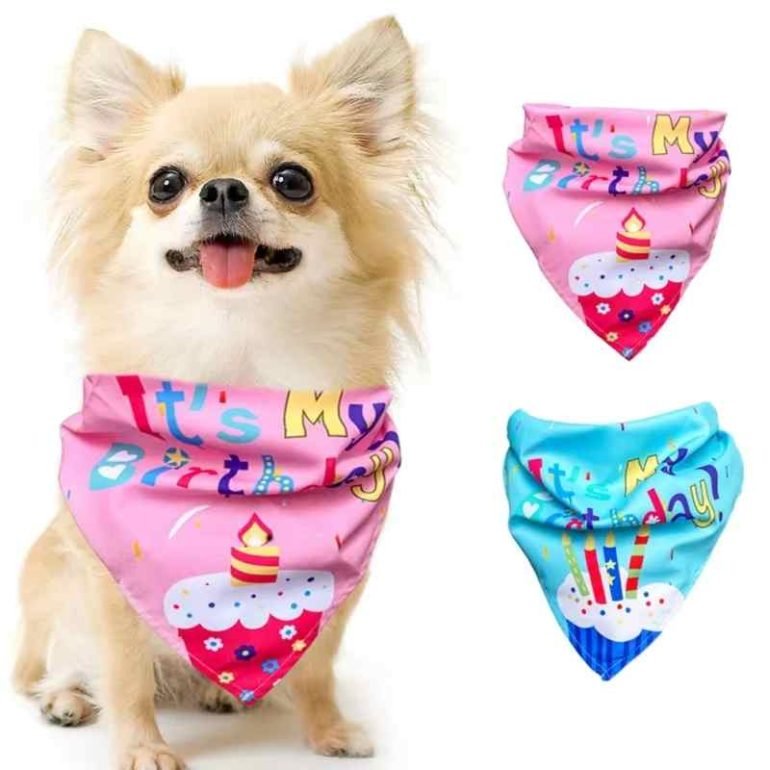 dog bandana custom