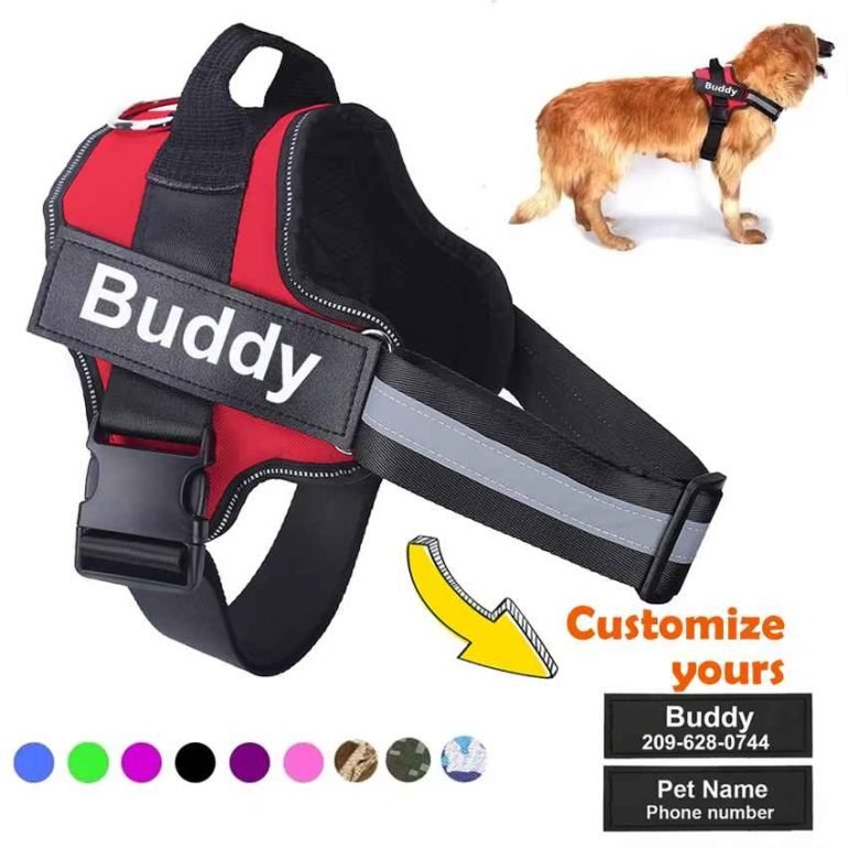 service dog vests custom